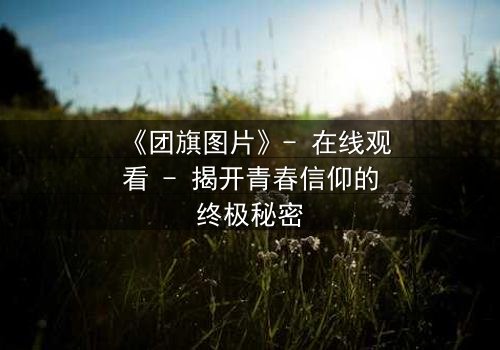 《团旗图片》- 在线观看 - 揭开青春信仰的终极秘密